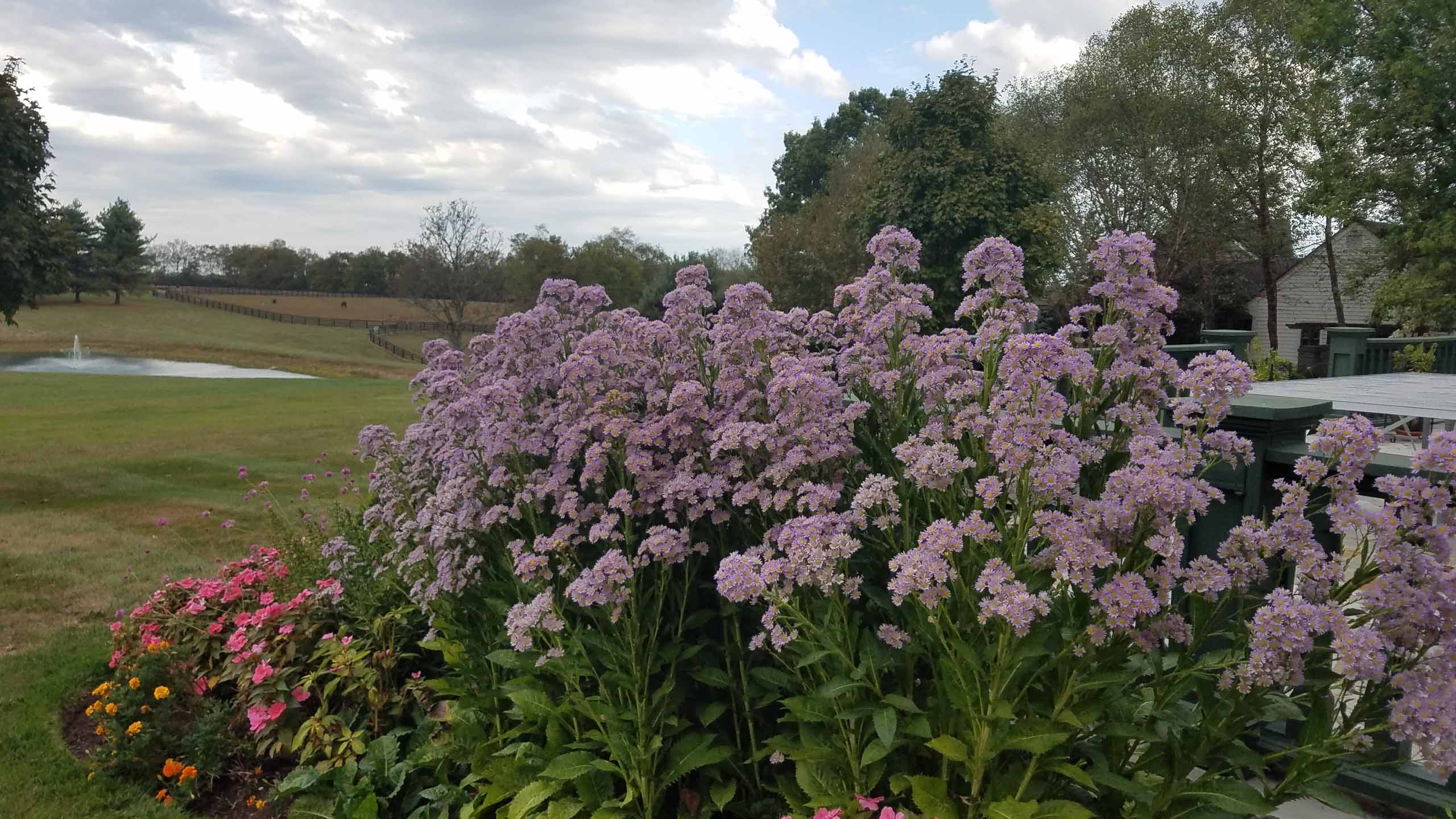 Landscape Maintenance Programs Nicholasville, KY