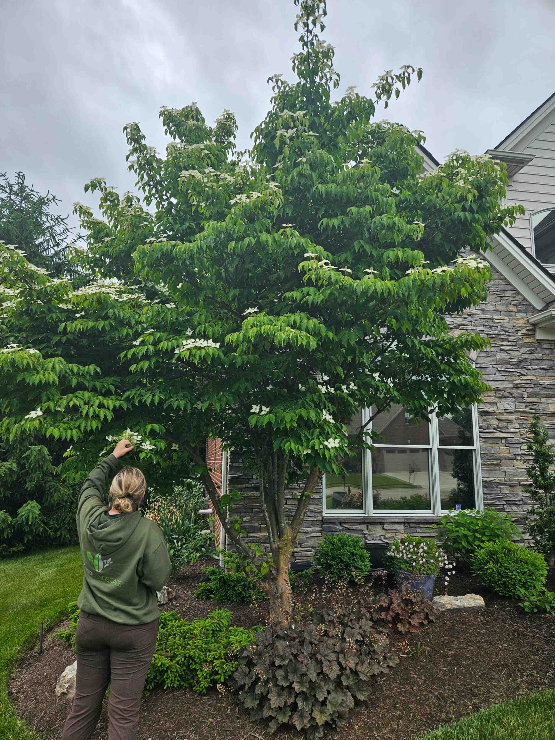 Lexington, KY Plant Health Care Services Company