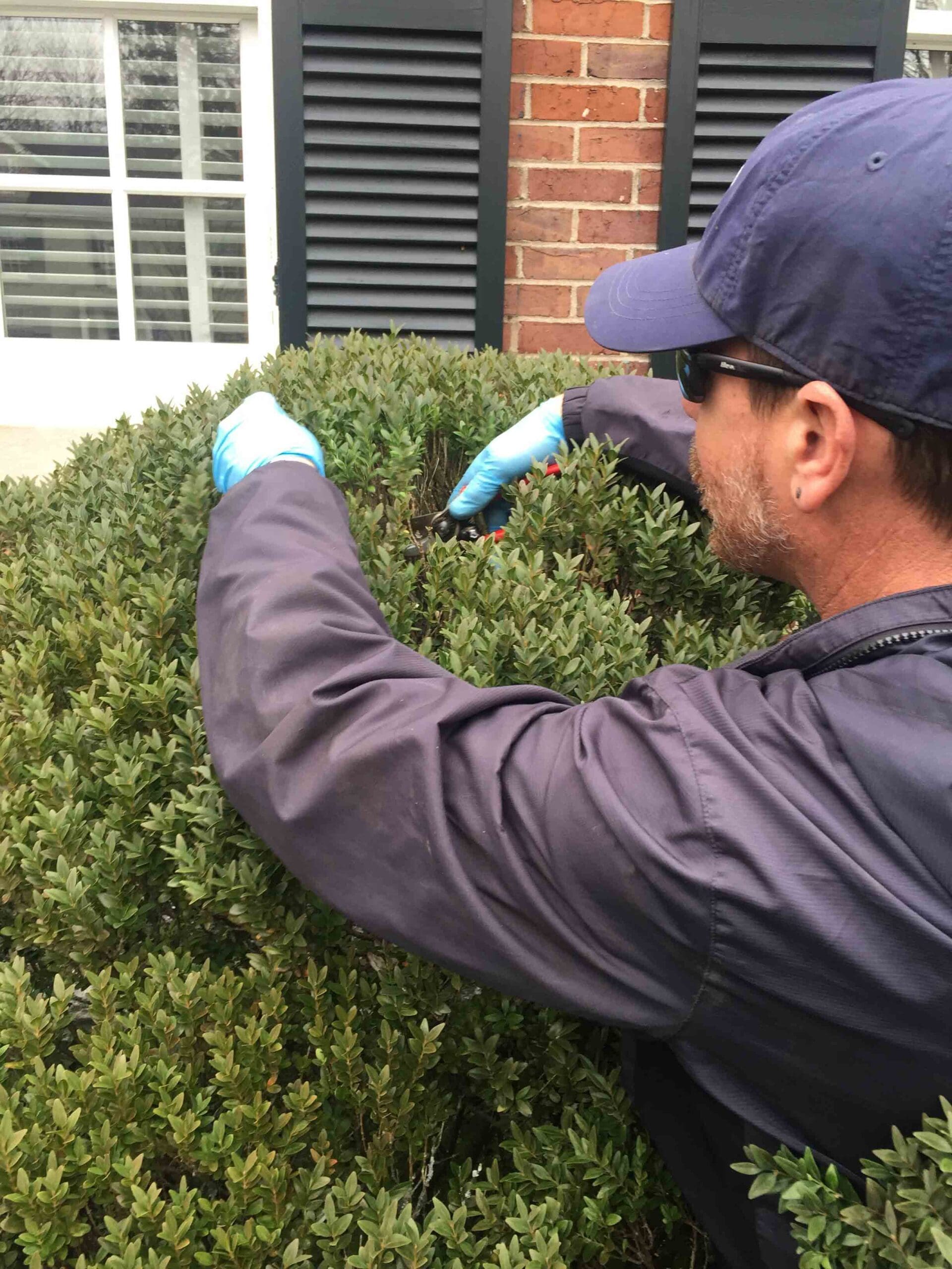 Lexington, KY Plant Health Care Services Company