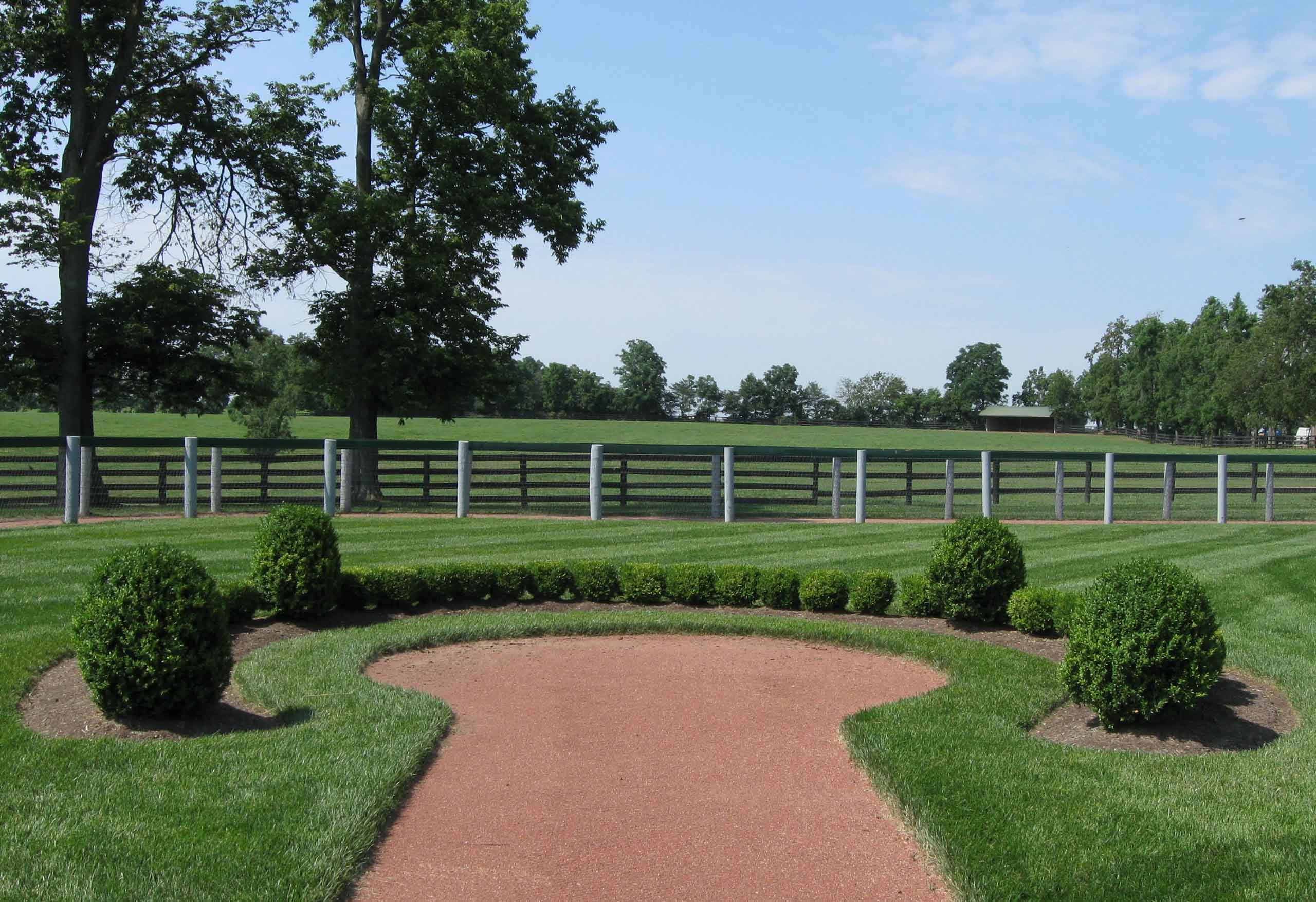Lawn Mowing Services for Lexington, KY