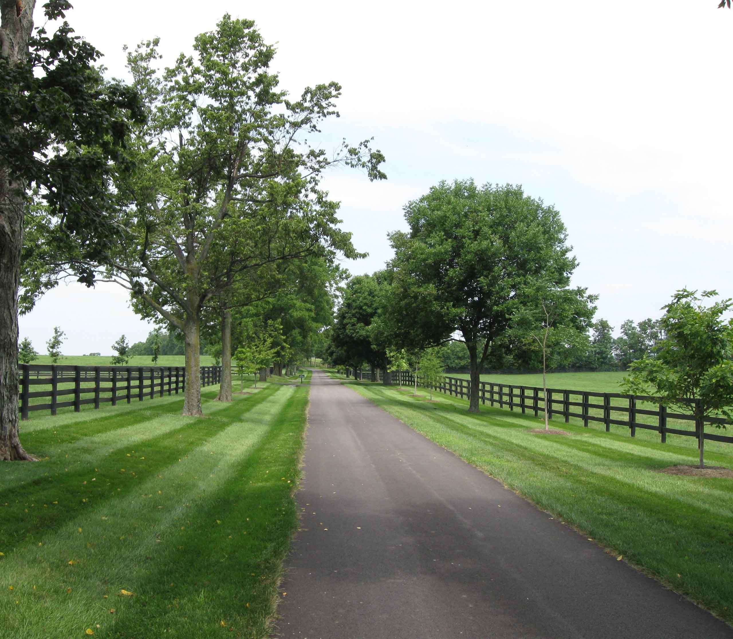 Lawn Mowing Services for Lexington, KY
