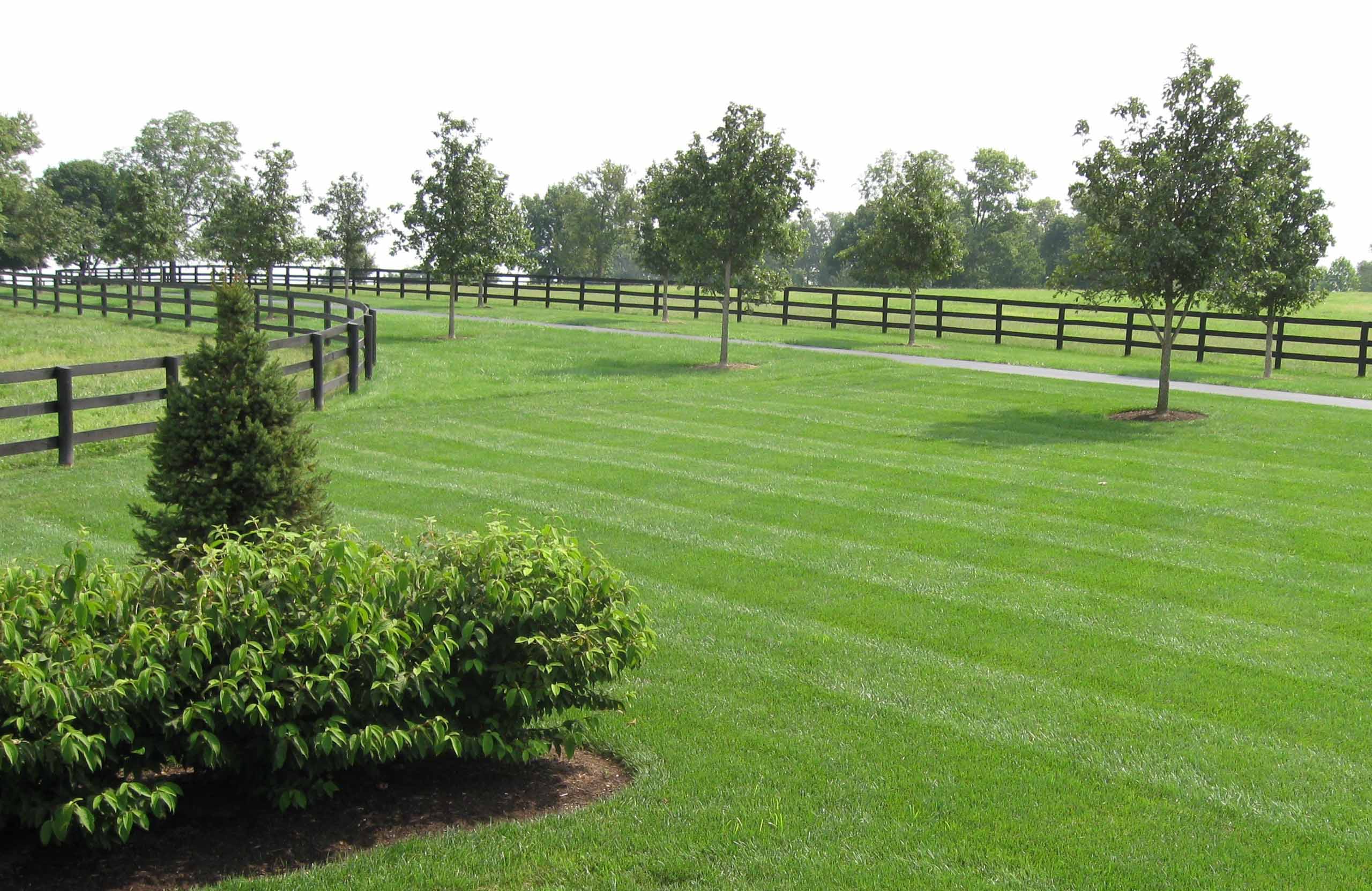 Lawn Care Services Team in Nicholasville, KY