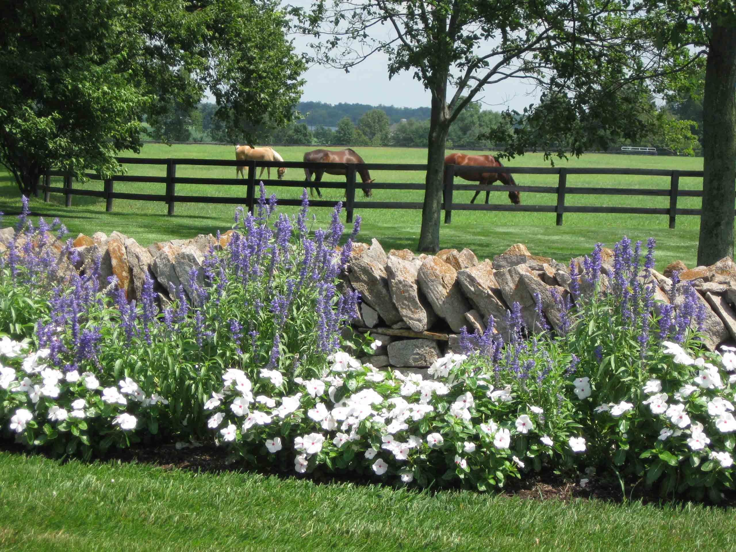 Lexington, KY Landscaping Companies