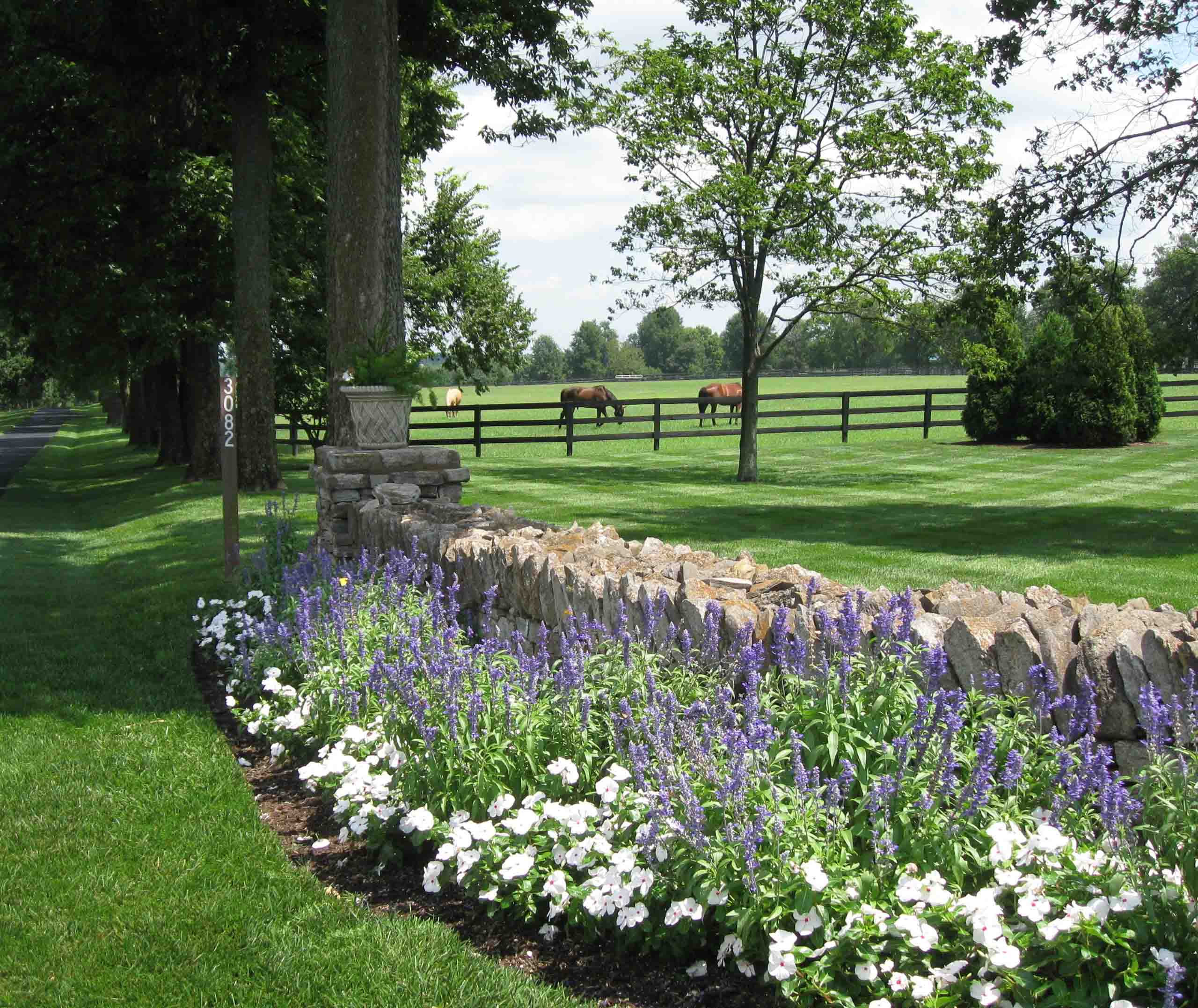Landscaping Services Nicholasville, KY