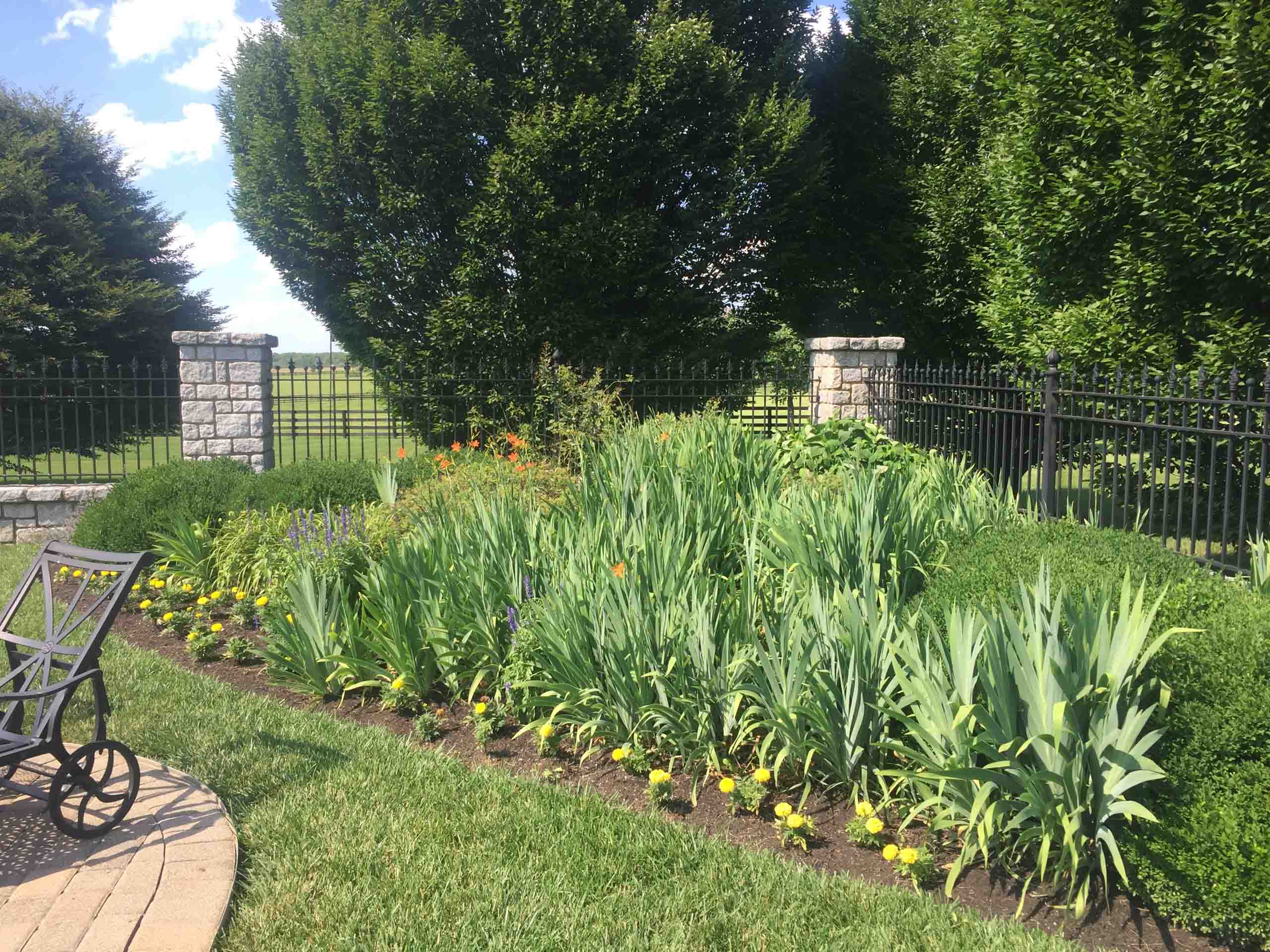 Fine Gardening Services in Lexington, KY