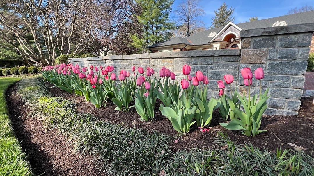 Lexington, KY Landscaping Companies