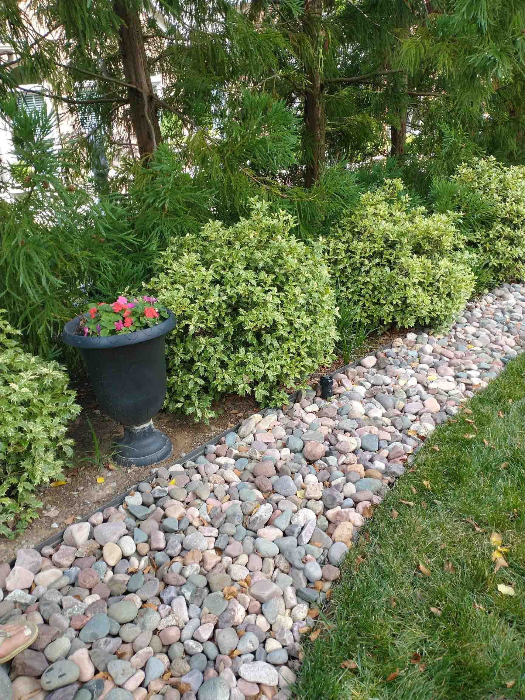 Lexington, KY Drainage Companies