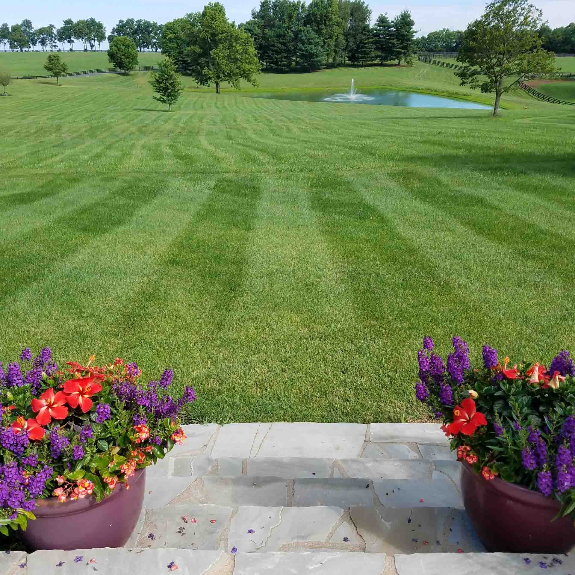 Lawn Mowing Services for Lexington, KY