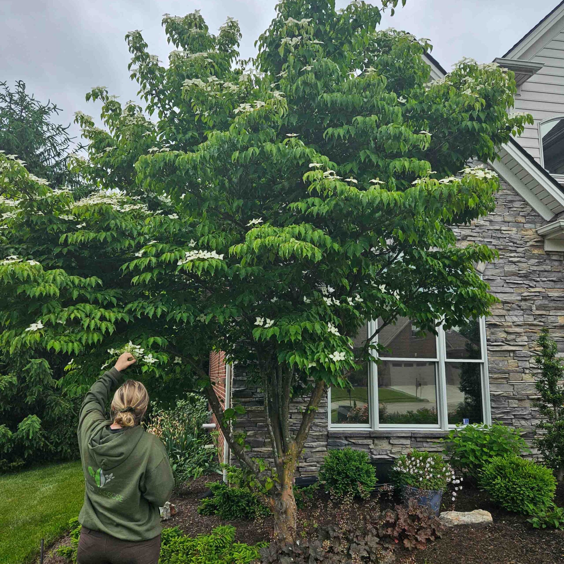 Lexington, KY Plant Health Care Services Company