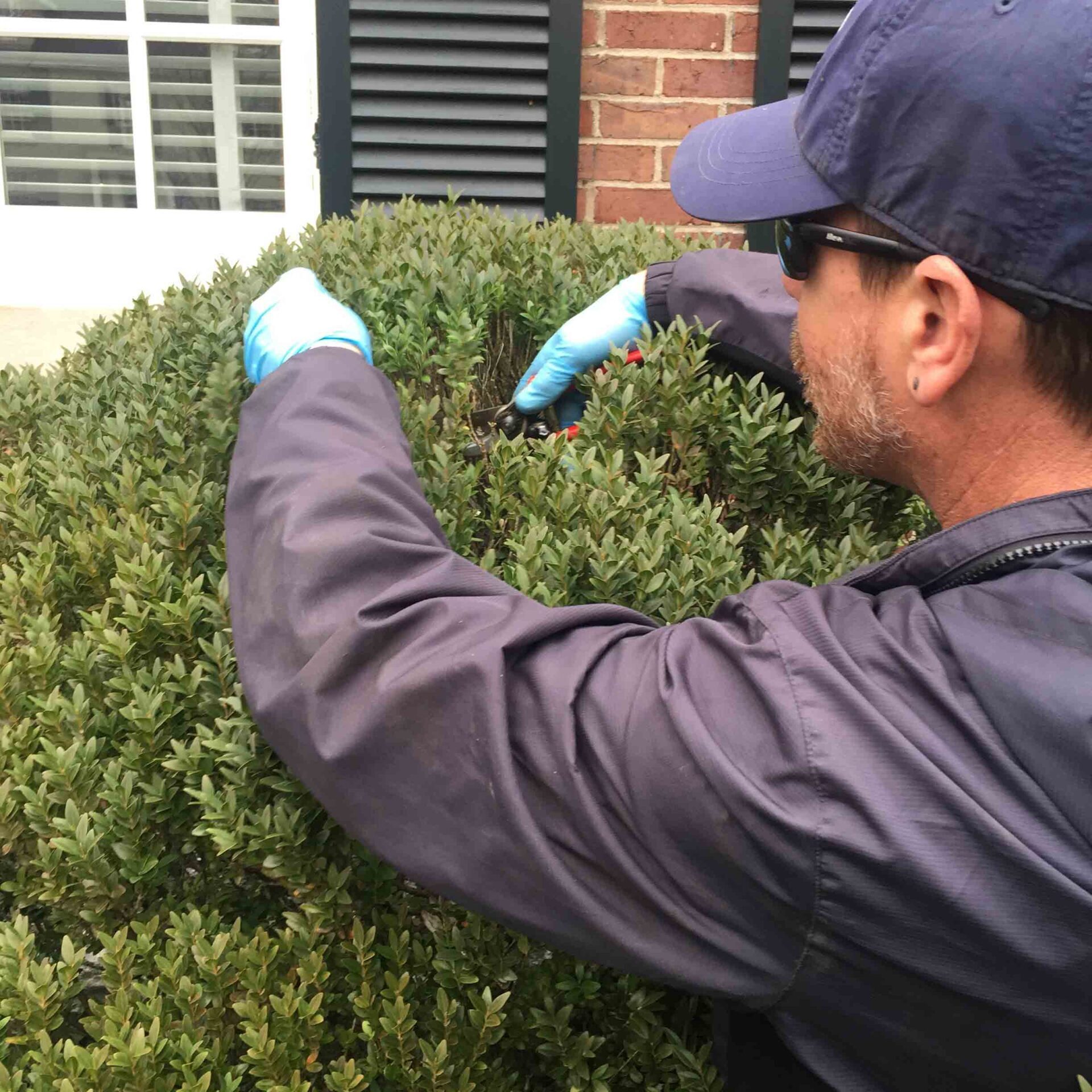 Lexington, KY Plant Health Care Services Company