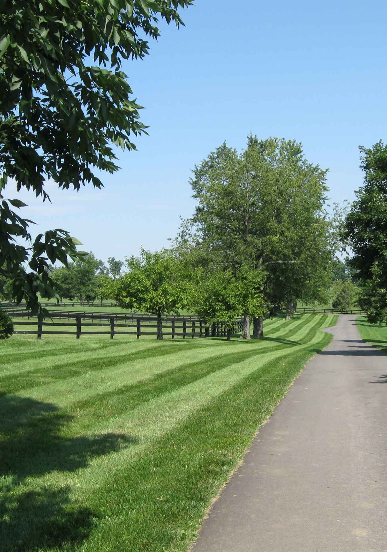 Winchester, KY Landscaping Services