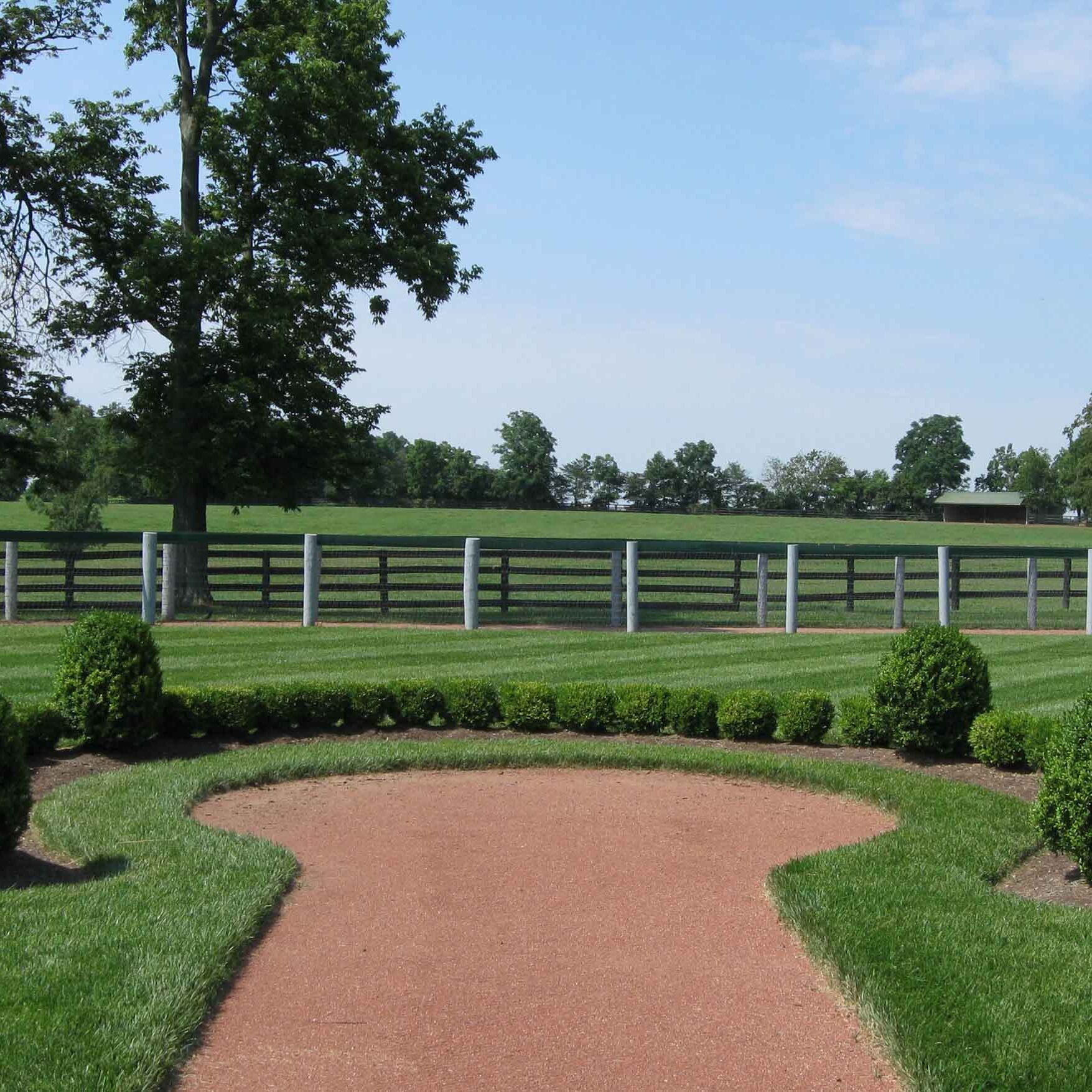 Lawn Mowing Services for Lexington, KY