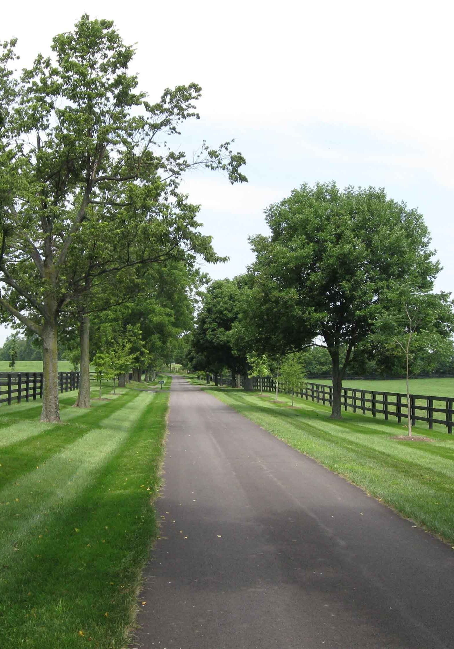 Lawn Mowing Services for Lexington, KY