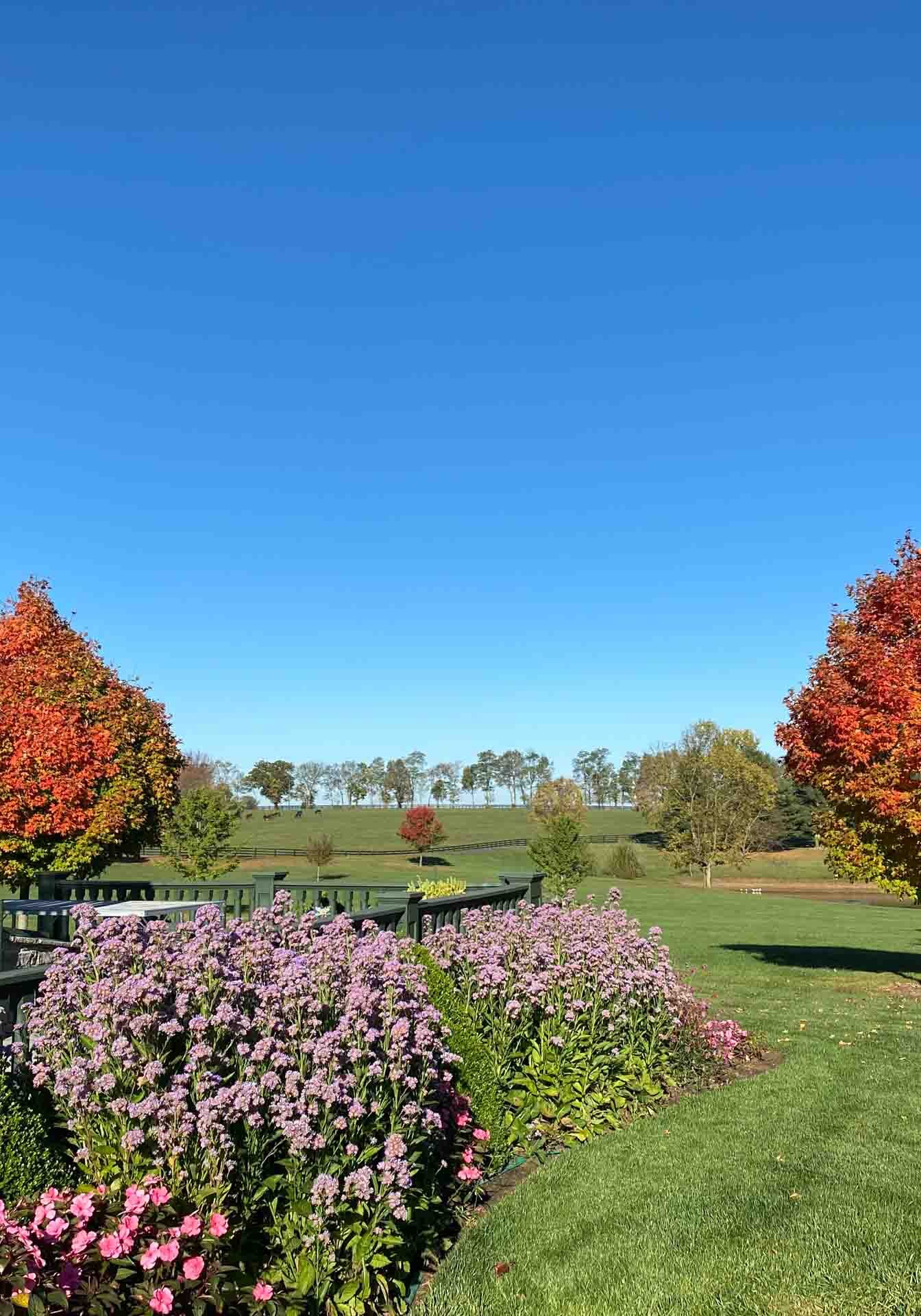 Lexington, KY Landscaping Services Company