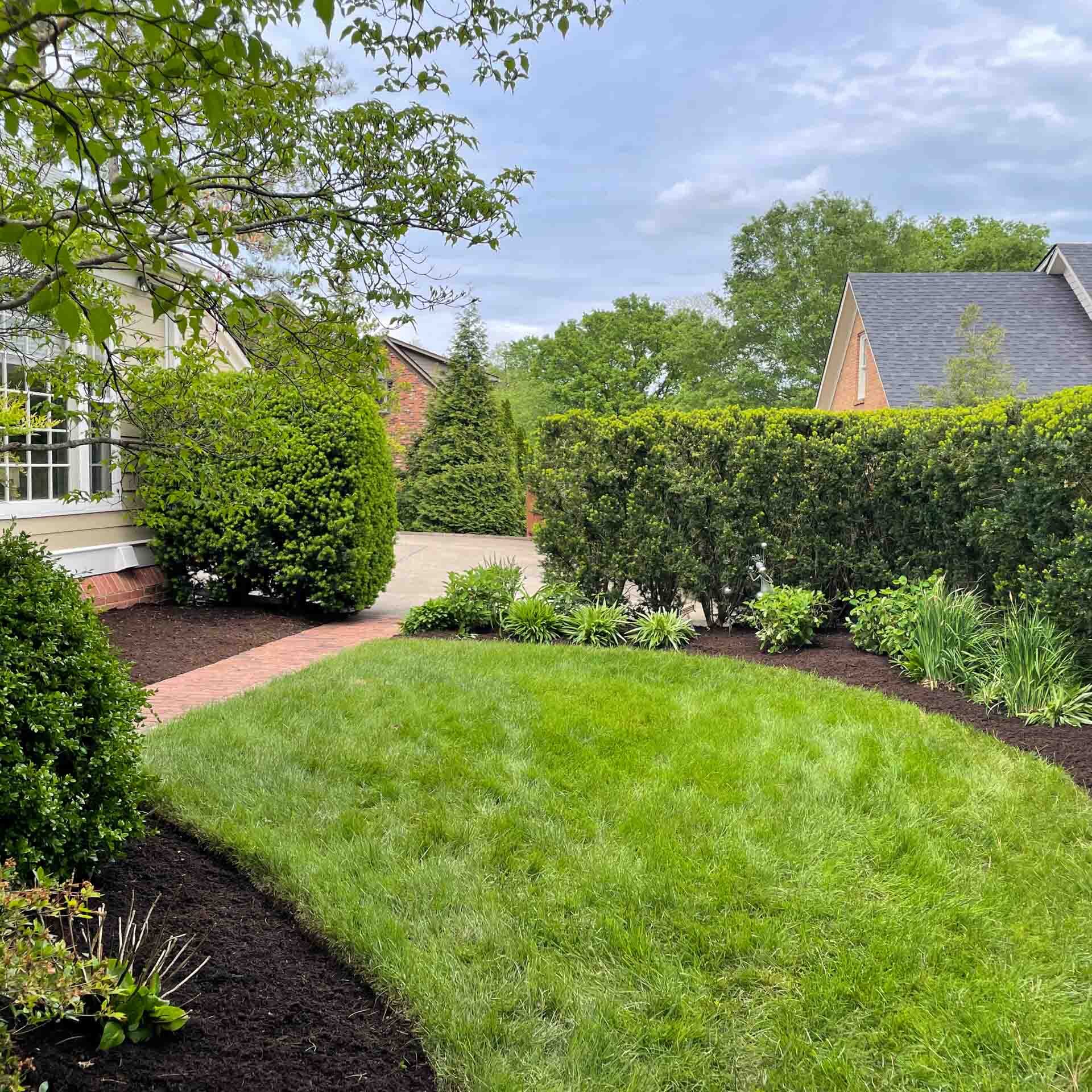 Lawn Care Services Team in Nicholasville, KY